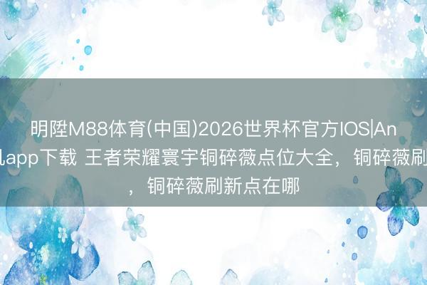 明陞M88体育(中国)2026世界杯官方IOS|Android手机app下载 王者荣耀寰宇铜碎薇点位大全，铜碎薇刷新点在哪