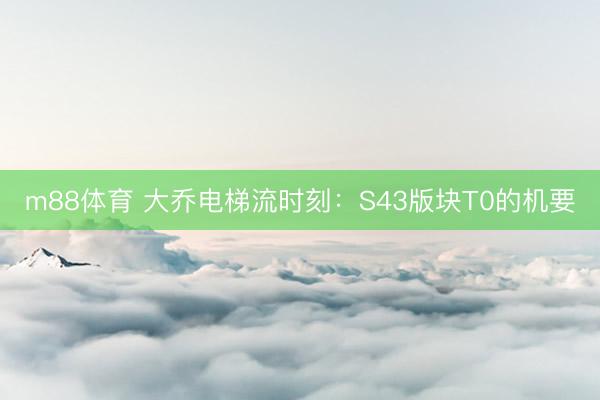 m88体育 大乔电梯流时刻：S43版块T0的机要