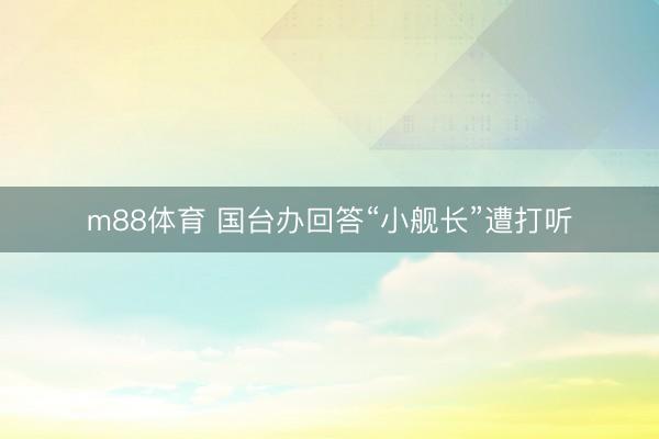 m88体育 国台办回答“小舰长”遭打听