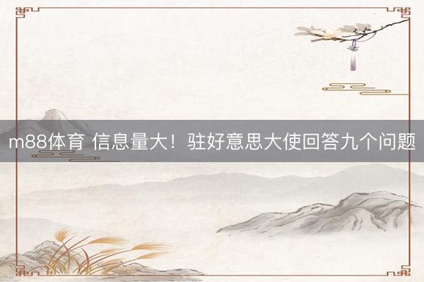 m88体育 信息量大！驻好意思大使回答九个问题