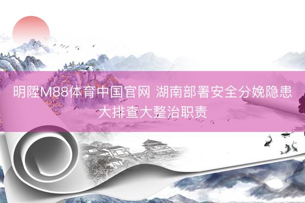 明陞M88体育中国官网 湖南部署安全分娩隐患大排查大整治职责