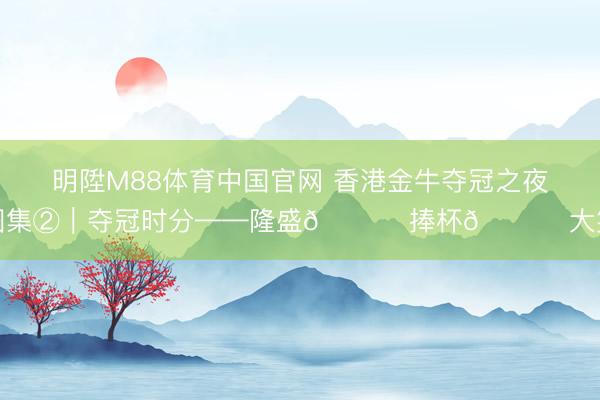 明陞M88体育中国官网 香港金牛夺冠之夜图集②｜夺冠时分——隆盛😆 捧杯🏆 大笑