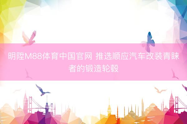 明陞M88体育中国官网 推选顺应汽车改装青睐者的锻造轮毂