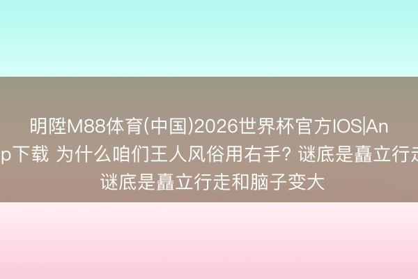 明陞M88体育(中国)2026世界杯官方IOS|Android手机app下载 为什么咱们王人风俗用右手? 谜底是矗立行走和脑子变大