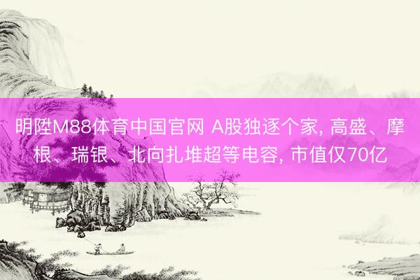 明陞M88体育中国官网 A股独逐个家， 高盛、摩根、瑞银、北向扎堆超等电容， 市值仅70亿