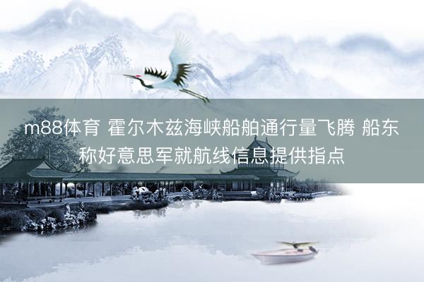 m88体育 霍尔木兹海峡船舶通行量飞腾 船东称好意思军就航线