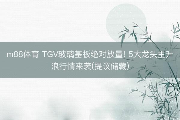 m88体育 TGV玻璃基板绝对放量! 5大龙头主升浪行情来袭(提议储藏)