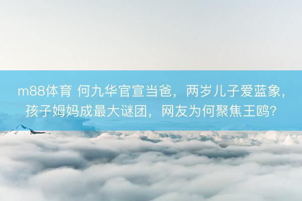 m88体育 何九华官宣当爸，两岁儿子爱蓝象，孩子姆妈成最大谜团，网友为何聚焦王鸥？