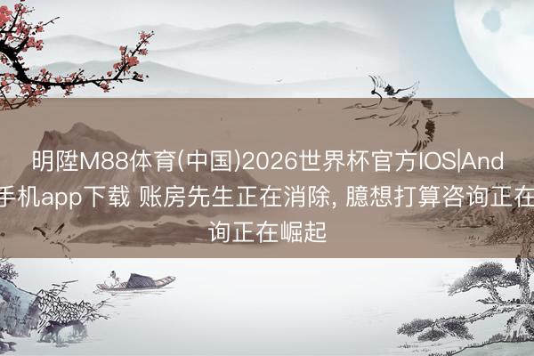 明陞M88体育(中国)2026世界杯官方IOS|Android手机app下载 账房先生正在消除， 臆想打算咨询正在崛起
